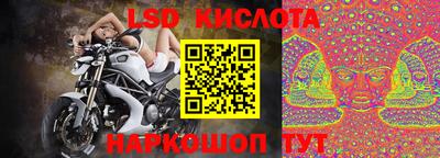 ГАЛЛЮЦИНОГЕННЫЕ ГРИБЫ Заволжье
