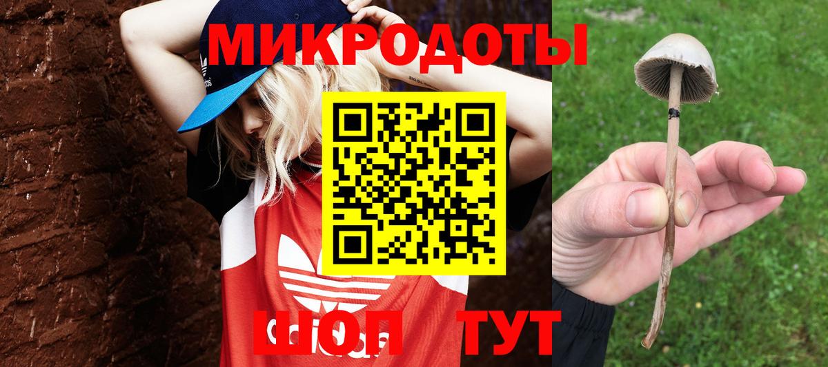 Ликино-Дулёво  Псилоцибиновые грибы Psilocybine cubensis  Вход с VPN  Галлюциногенные грибы MAGIC MUSHROOMS 